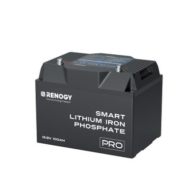 Pro-12V 24V 48V 100Ah Deep Cycle Lithium Iron Phosphate Battery