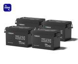 Core Mini - 12.8V 300Ah Lithium Iron Phosphate Battery