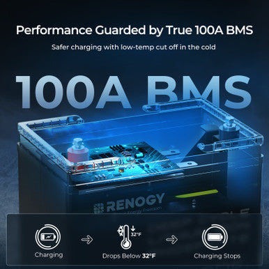 Renogy 12V 100Ah Core Series Deep Cycle Lithium Iron Phosphate Battery Performance Guarded by True 100A BMS